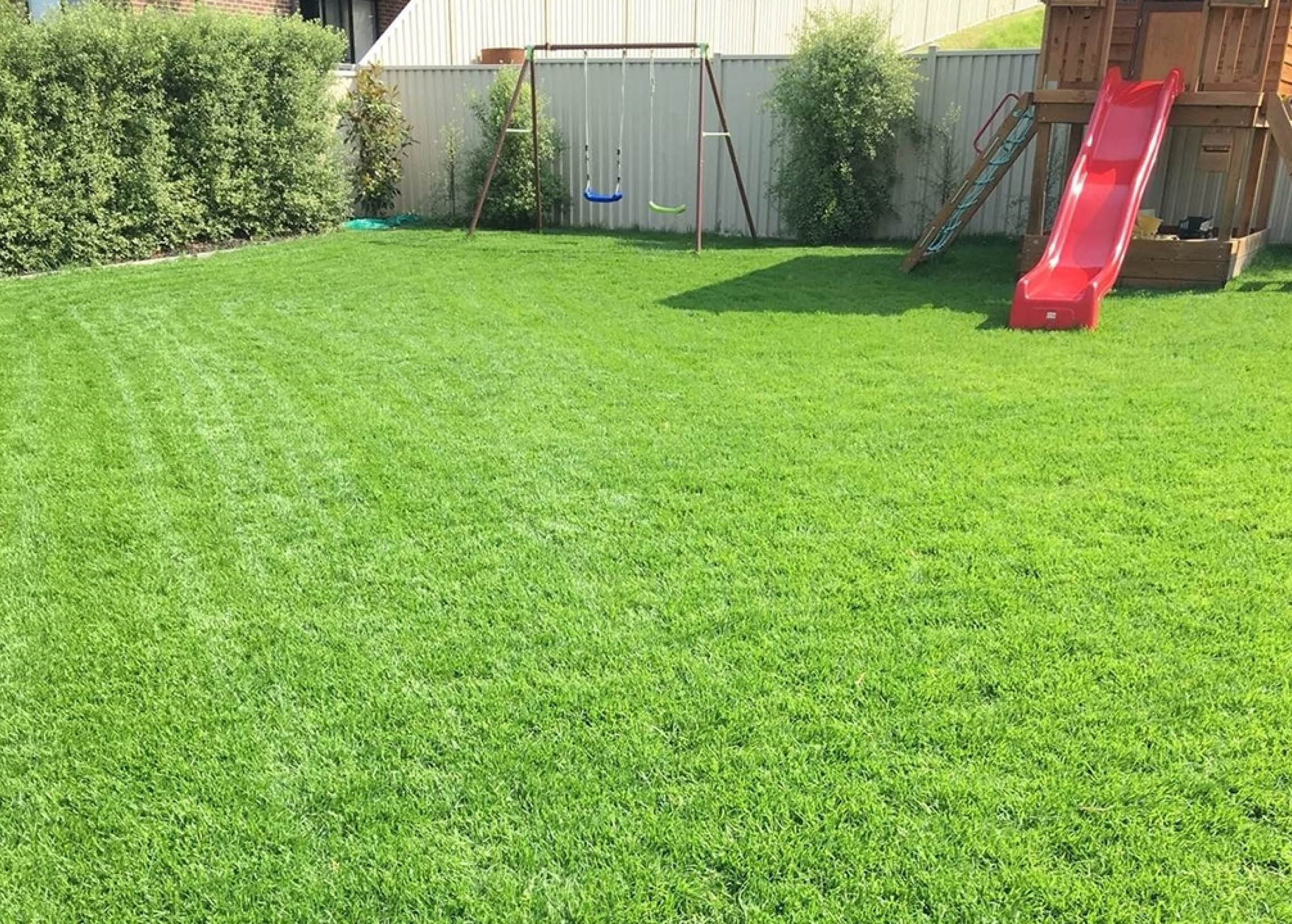 Lush Lawns Grass Cutting